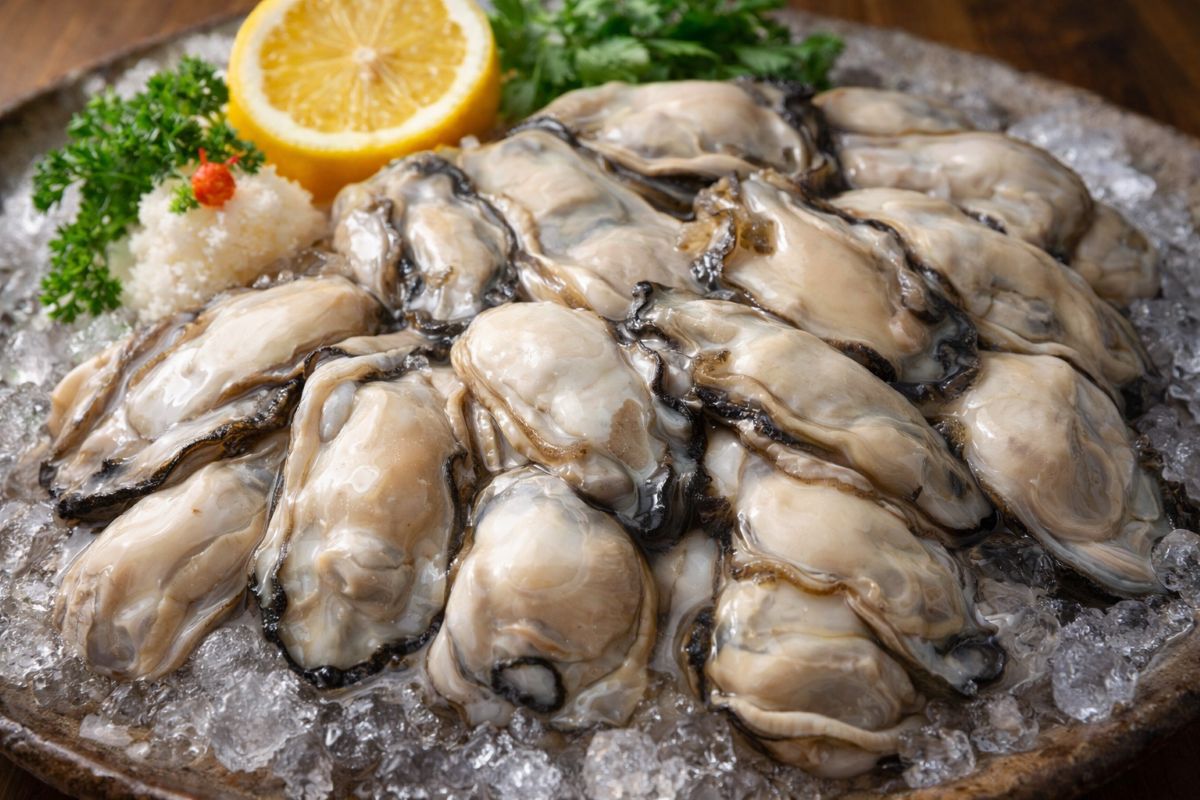 広島牡蠣むき身