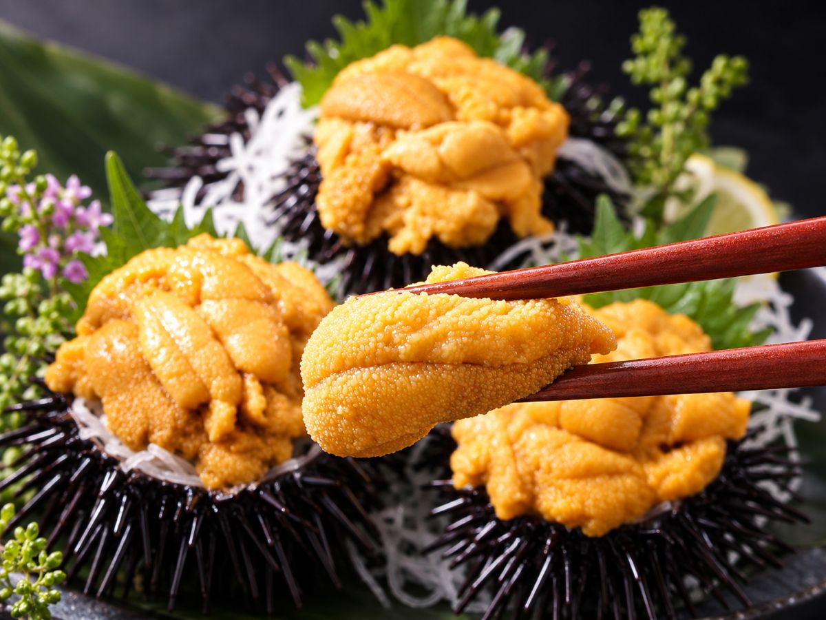 尾鷲産天然生うに